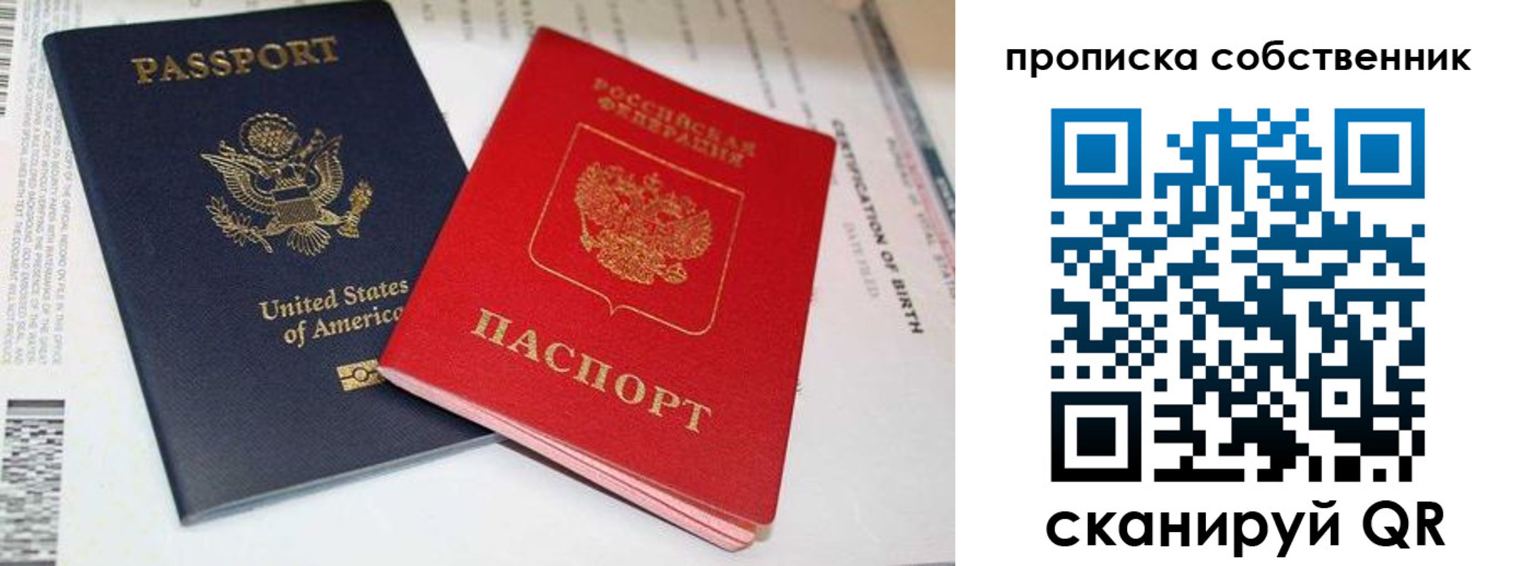 прописка для школы в Торжоке